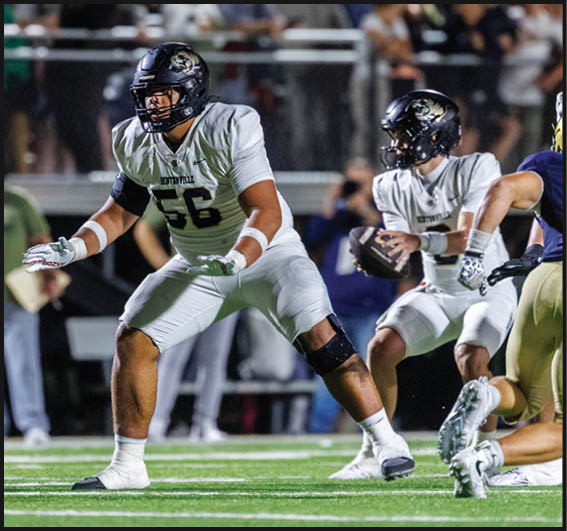 A group of football players celebrating a victory. AI generated content