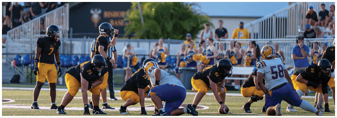 People in sports uniforms are lined up on a football field preparing for a play during a game with spectators in the background. Descripci n generada con IA