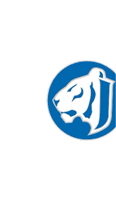 A stylized white lion head facing left inside a blue circle with a white border. Descripci n generada con IA