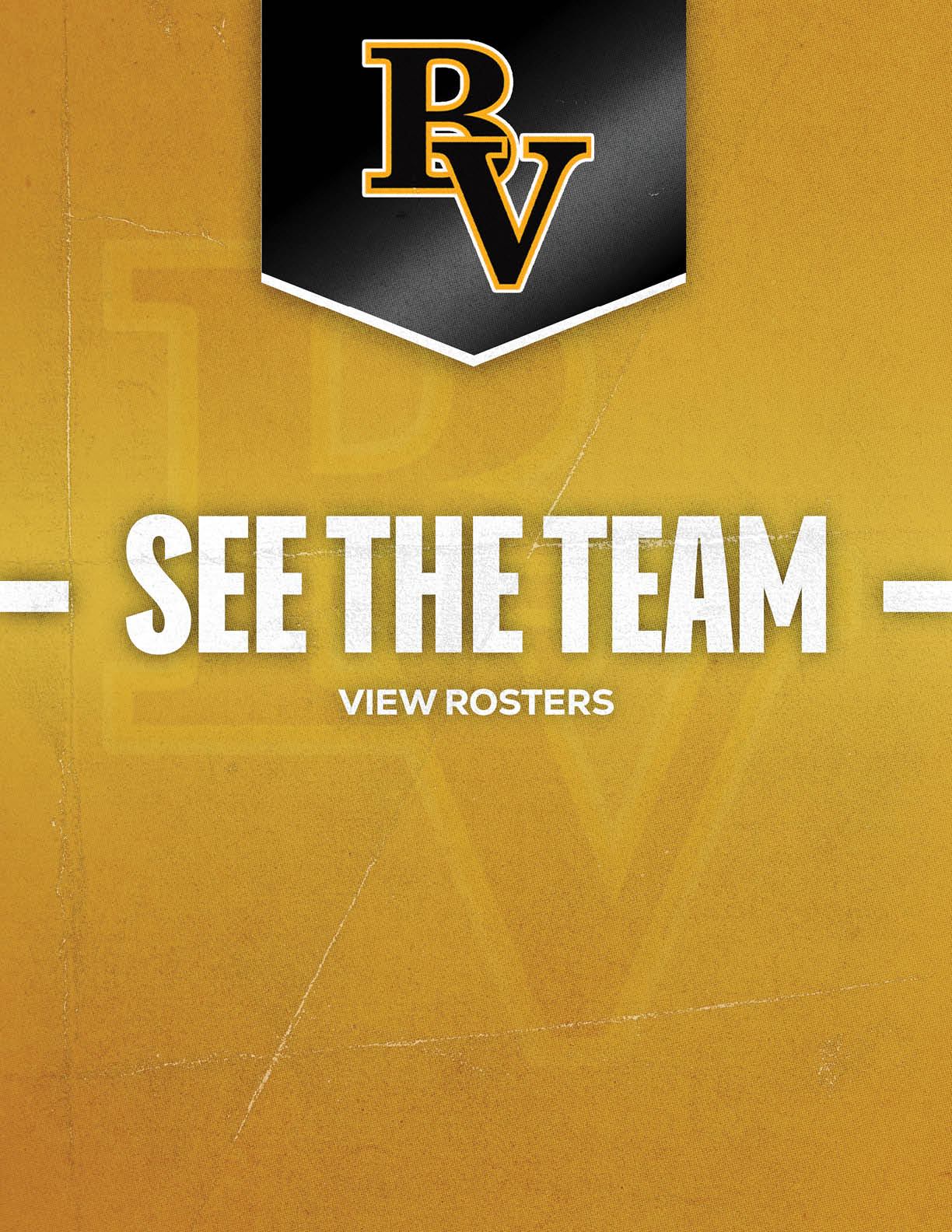 A gold and black graphic with the letters BV at the top and the text see the team view rosters in bold white letters below. Descripci n generada con IA