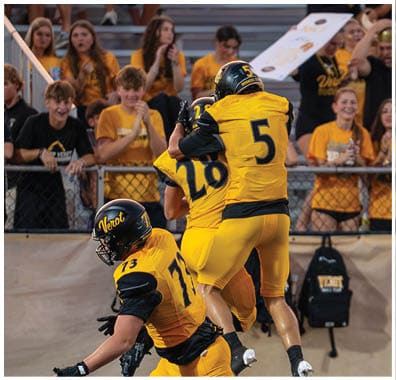 Two football players in yellow and black uniforms celebrate on the field while a crowd of people in similar colors cheer from the bleachers behind them. Descripci n generada con IA