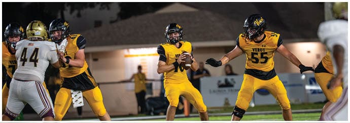 People in yellow and black football uniforms are playing on a field at night with one person preparing to throw a football. Descripci n generada con IA