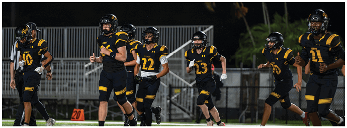 A group of people wearing black and yellow sports uniforms are running on a football field at night. Descripci n generada con IA