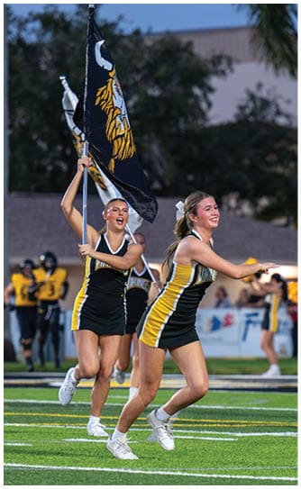 A person is holding a black flag with a yellow and white Viking head design against a blurred outdoor background. Descripci n generada con IA