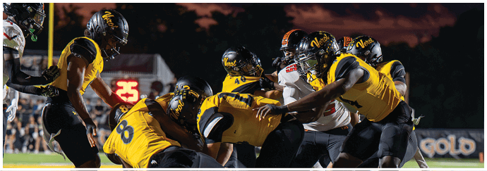 Several people wearing yellow and black football uniforms are engaged in a play on a football field during a game at dusk. Descripci n generada con IA