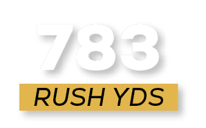 RUSH YDS,78