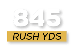 RUSH YDS,84