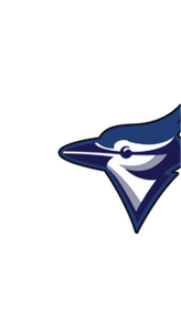 A blue and white logo for Valor. Description generated by AI