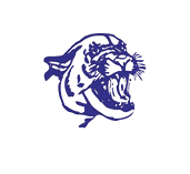 A purple and black tiger's mouth with its teeth showing. Description generated by AI