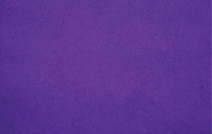 A vertical purple textured pattern with a subtle diamond design. Description generated by AI