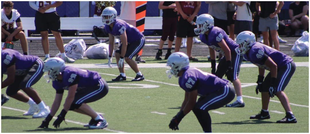 A group of people wearing purple football uniforms and helmets are positioned on a green field preparing for a play while others stand in the background near the sidelines. Description generated by AI