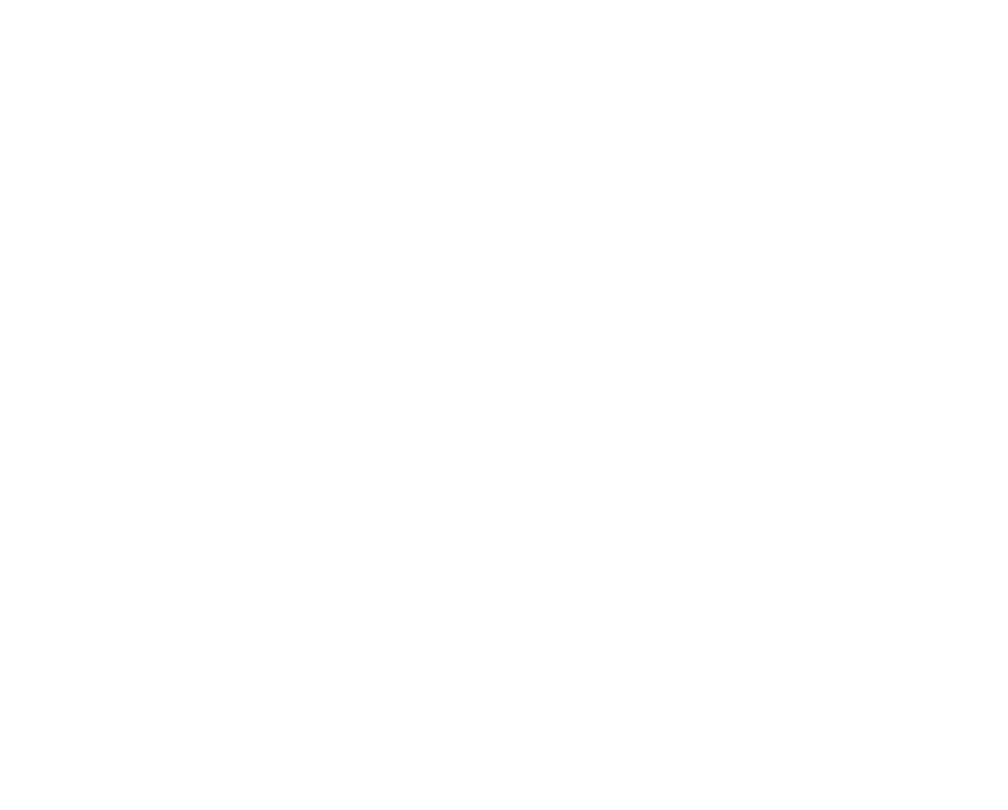 Bloomington South panthers