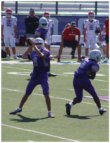 Two people in purple football uniforms and helmets are on a field with one preparing to throw a football and the other running with the ball while several people in white uniforms and a person in a red shirt watch from the sidelines. Description generated by AI