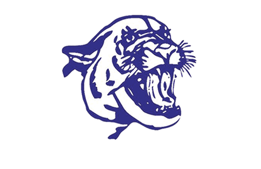 A purple and black tiger with its mouth open. Description generated by AI