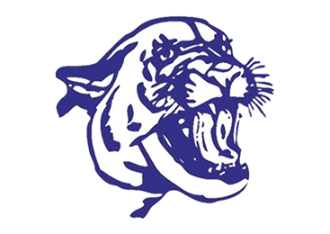 A purple and black tiger with its mouth open. Description generated by AI