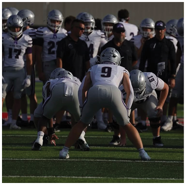 A group of people wearing football uniforms and helmets are on a field with two players in the foreground preparing for a play. Description generated by AI