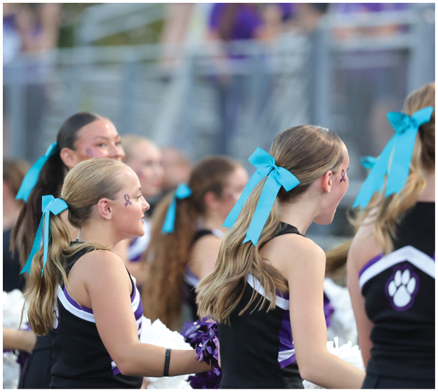 People dressed in matching cheerleading uniforms hold pom-poms and stand in a line. Description generated by AI