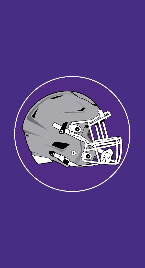 A detailed illustration of a gray football helmet with a white faceguard on a purple background. Description generated by AI