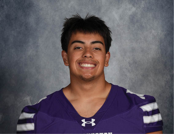 A person with short dark hair is smiling and wearing a purple sports jersey with white and black stripes on the sleeves against a gray textured background. Description generated by AI