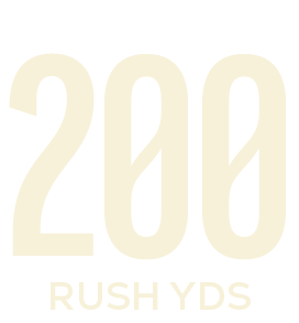 rush yds,20
