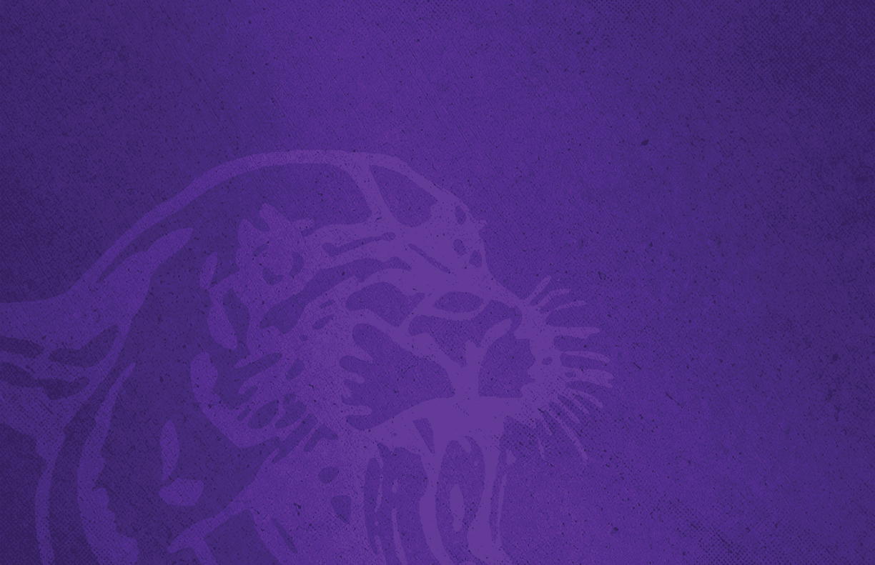 A stylized purple graphic of a roaring big cat, possibly a leopard or jaguar, with a textured background. Description generated by AI