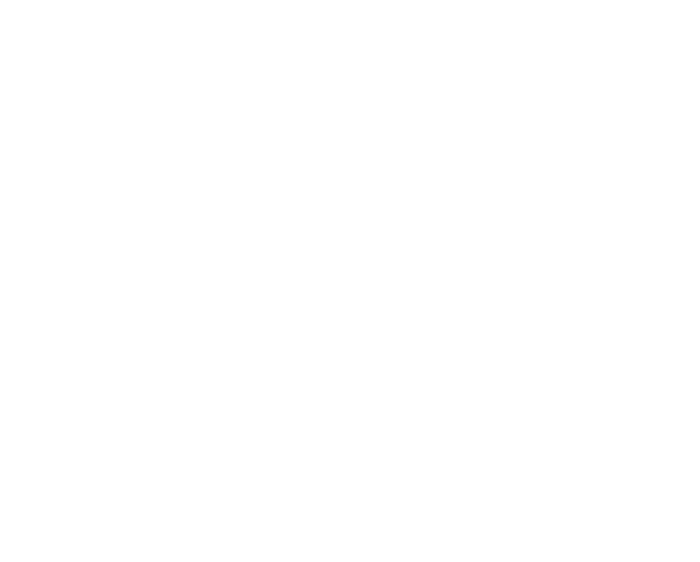 Bloomington South panthers