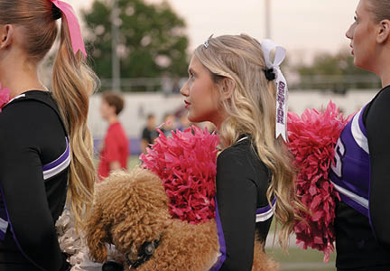 A person with long wavy hair holds bright pink pom-poms, likely participating in a cheerleading or spirited event. Description generated by AI