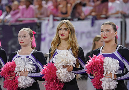 Three people in matching cheerleading uniforms hold pink and white pom-poms while standing in a row at an event with a crowd in the background. Description generated by AI