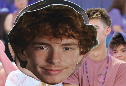 A group of people sitting in a stadium or arena with some wearing purple clothing and one person holding a large cutout of a curly-haired head. Description generated by AI