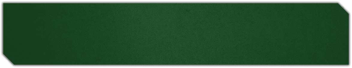 A green background with a darker green in the center. Description generated by AI