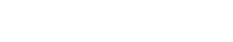 1/2 page ad in digital program, game day experience 