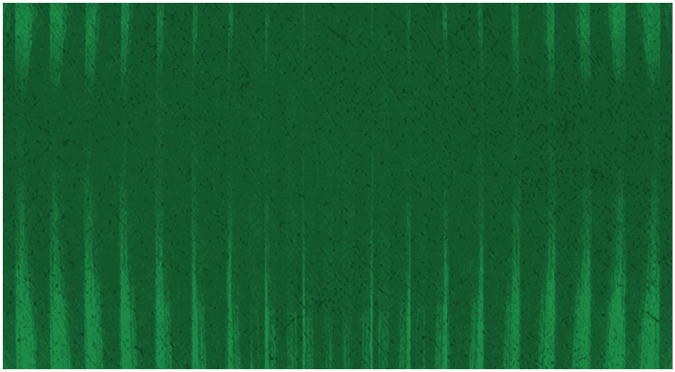 A textured green background with vertical darker green stripes and subtle diagonal lines. Description generated by AI