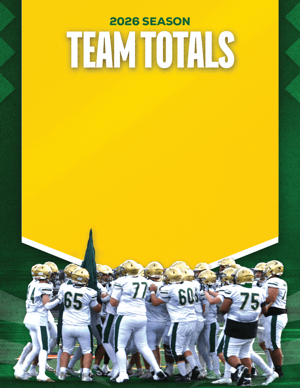 A group of football players standing on a field. Description generated by AI