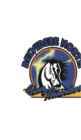 A stylized logo featuring a black and white horse head with a flowing mane inside a circular blue background with lightning, accompanied by the text “Blue Thunder" and partially visible words above. Description generated by AI