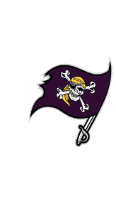 A stylized pirate flag with a skull wearing a yellow bandana labeled “Belvidera" and an eyepatch, crossed bones behind it, and a sword forming the flagpole. Description generated by AI