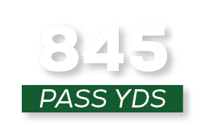 pass YDS,84