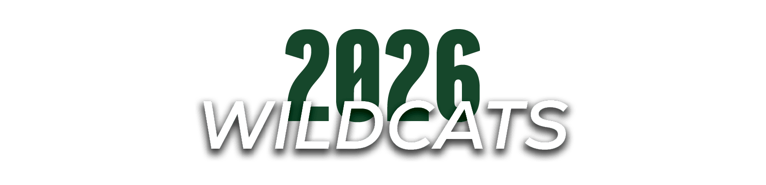 wildcats,202