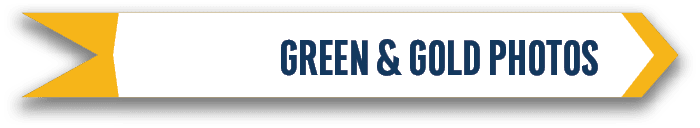 green & gold photo
