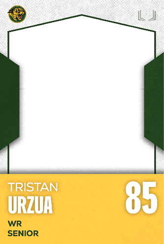 A football jersey with the number 1 on it. Description generated by AI