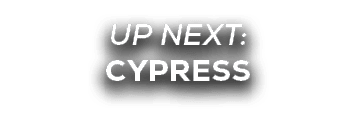 UP NEXT: cypress