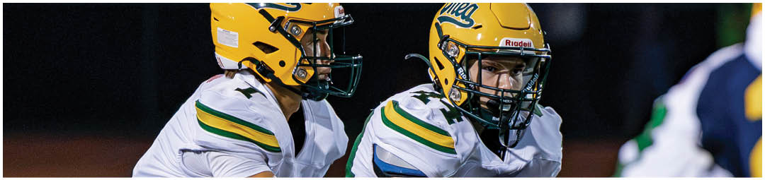 A football player wearing a blue and white uniform. Description generated by AI
