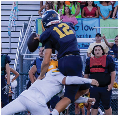 A football player running on the field. Description generated by AI