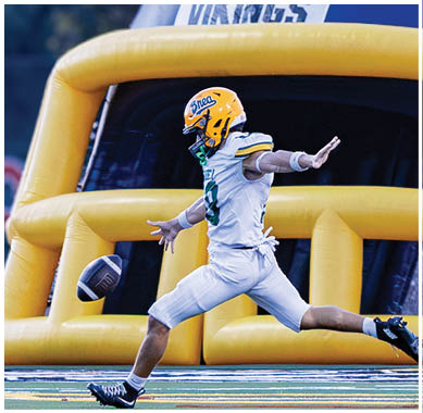 A football player running on the field. Description generated by AI