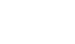 the wildcat newspaper