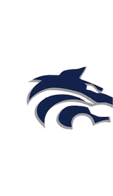 A blue and white logo for Valor. Description generated by AI