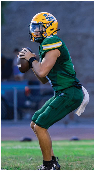 A football player running on the field. Description generated by AI
