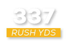 RUSH YDS,33