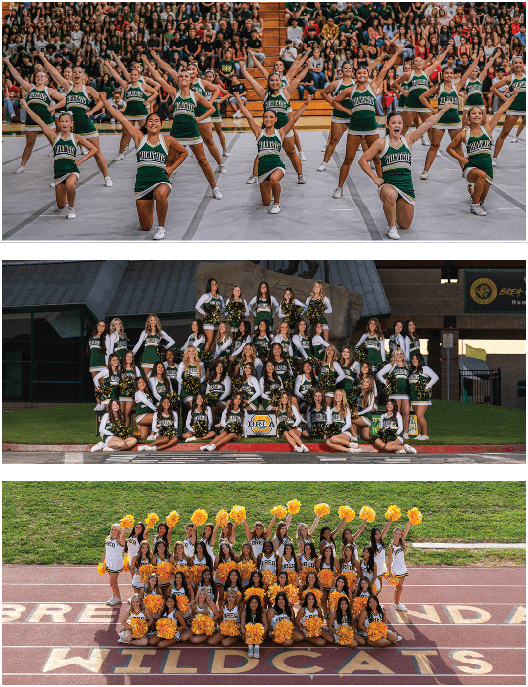 State 1 copy 2