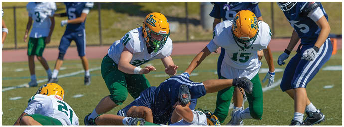 A football player wearing a blue and white uniform. Description generated by AI