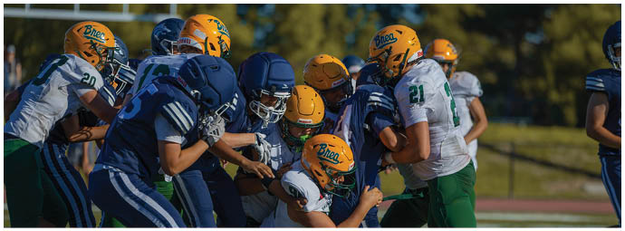 A football player wearing a blue and white uniform. Description generated by AI